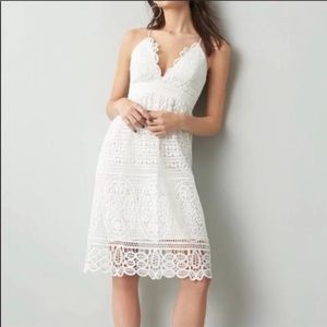 Bardot Versailles dress